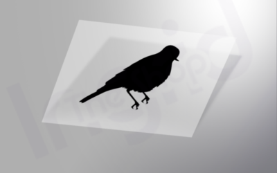 Pegatina Pájaro: Dale Color y Personalidad a Tu Verano con Vinilos en 7 Colores Vivos🐦