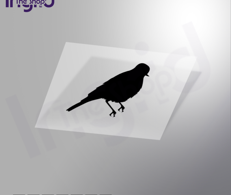 Pegatina Pájaro: Dale Color y Personalidad a Tu Verano con Vinilos en 7 Colores Vivos🐦