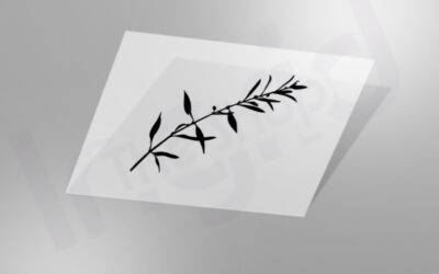 La elegancia mediterránea hecha vinilo: descubre la Pegatina de vinilo personalizada Rama de Olivo de TheShopIngrid 🌿