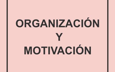 Pegatinas escolares de vinilo para organización y motivación ✅
