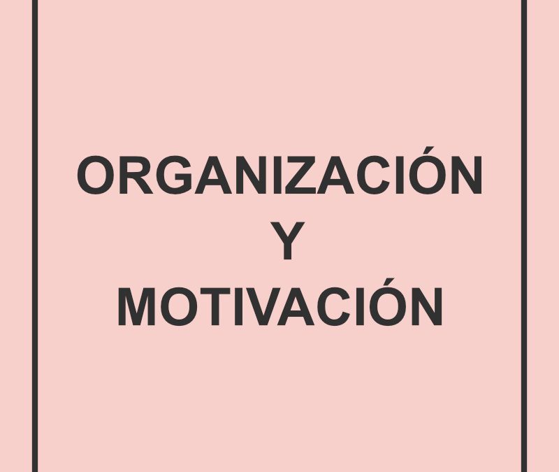 Pegatinas escolares de vinilo para organización y motivación ✅